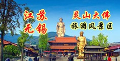 奥门黄色网及江苏无锡灵山大佛旅游风景区